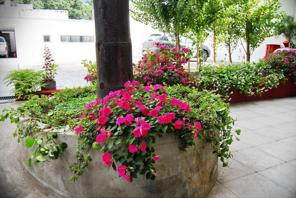 Aparthotel Tramas Andinas Salta Exterior foto
